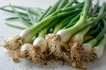 Fresh green spring onion vegetables on white background