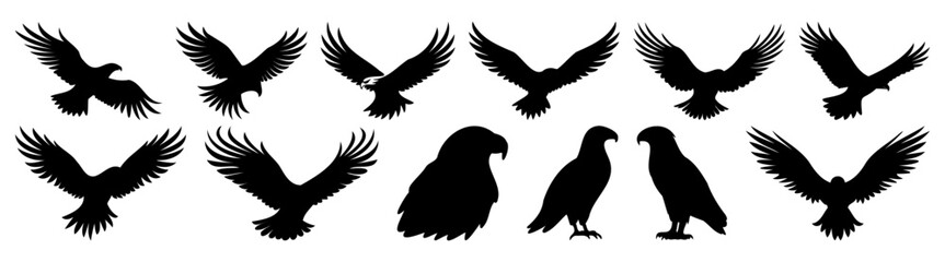 Eagle silhouette set vector design big pack of illustration and icon
