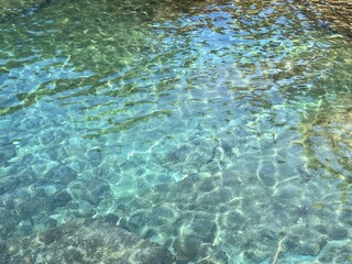Amazing sea water clear transparent surface with algae