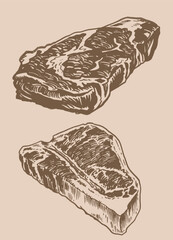 Vector set of steaks on sepia background , grilled meat illustration, food elements	