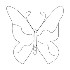 Continuous one line butterfly flying single line outline art drawing illustration