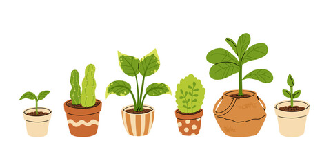 Vector set of gardening pots and plants in pots isolated on white background. Bundle of home plants and repotting. Big set of garden elements.