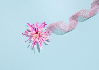 Flower and decorative ribbon for gifts, minimal creative composition on pastel blue background.