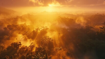 Golden Sunrise Over Misty Tropical Rainforest.