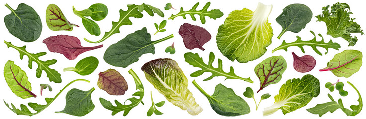 Salad leaves mix isolated on white background