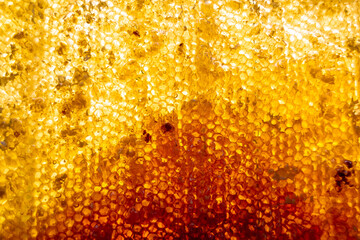 Drop of bee honey drip from hexagonal honeycombs filled with golden nectar