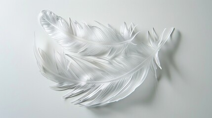 Feather motif rendered on clear background, capturing the lightness and intricacy of nature's own artistry.