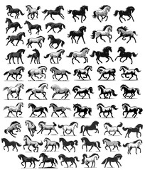 Vector Horse Collection: Horses in Various Poses