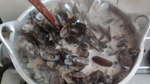 Shellfish processing process, river mussels, sea ​​shells, seafood, natural light