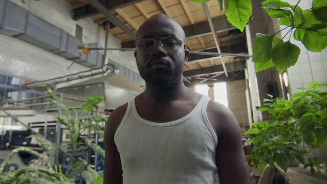Low angle portrait of young muscular Black man in white undershirt and eyeglasses looking at camera standing among green plants at manufacturing factory