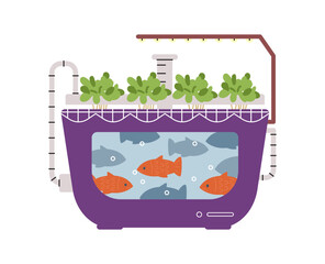 Aquaponics system for crops production flat vector illustration isolated on white. Water tank with fish.