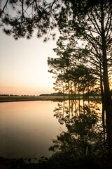 A sunset silhouette of tall pine trees on a lake