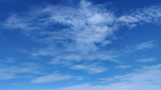 Sky covered with very small balls at midday