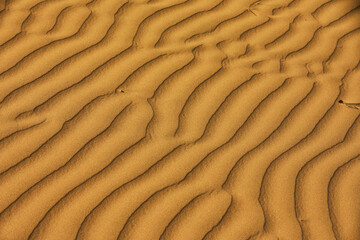 Sand dunes are natural formations typically found in deserts, coastal regions, and other areas with...