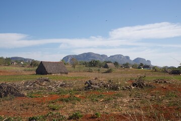 ferme de tabac  Vinales, Cuba