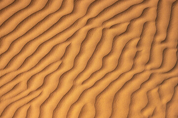 Sand dunes are natural formations typically found in deserts, coastal regions, and other areas with...