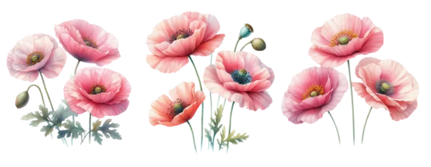 Foto op Canvas Wild flowers Poppies pink red set isolated on white background. Watercolor © Yuliia