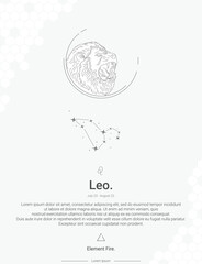 Zodiac sign constellations Leo vector illustration wall decor ideas