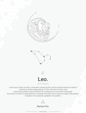 Zodiac sign constellations Leo vector illustration wall decor ideas