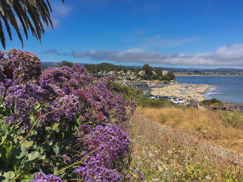Picture perfect lansdscape nature cityscape scenery in Capitola, California with breathtaking canal and ocean views, lush flowers and vegetation in bloom in spring, romantic hideaway getaway