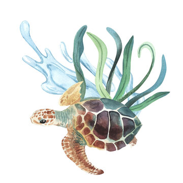 Watercolor sea turtle with seaweed , algae. illustration for greeting cards, invitations, and other printing and web projects. Eco concept