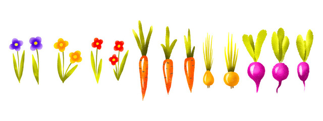 Set of cartoon vegetables from the garden. Harvesting. Drawing of carrots, beet, onions and flowers. Collection of vegetables and flowers. Cute hand drawn illustration on isolated background