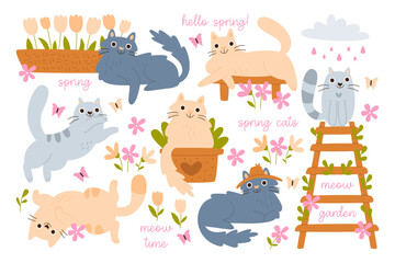Hello spring design elements with funny cats cute characters and garden plants vector illustration