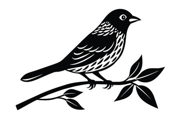 A Bird vector Illustration Design 