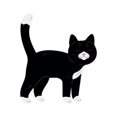Cute hand drawn black and white cat. Cartoon tuxedo cat. Vector illustration
