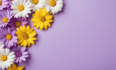 Spring flatlay romantic flowers yellow and white color with space for text at purple background. Birthday, Happy Women's Day, Mother's Day concept.