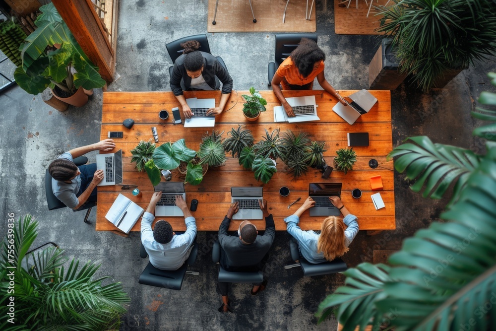 Poster diverse group of professionals working together at a table with laptops and plants in overhead view