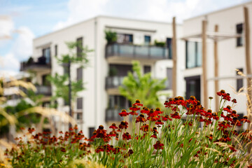 Modern Landscape Design front Building Block Apartments. Green  Perennial Garden with Flower Plants...