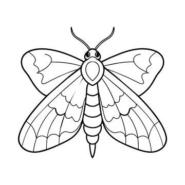 Moth illustration coloring page for kids