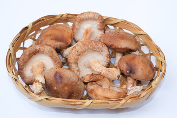 ざるに入った椎茸