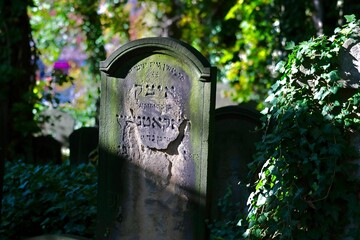 Jewish tombstone in Gliwice - obrazy, fototapety, plakaty