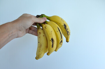 mão segurando bananas 