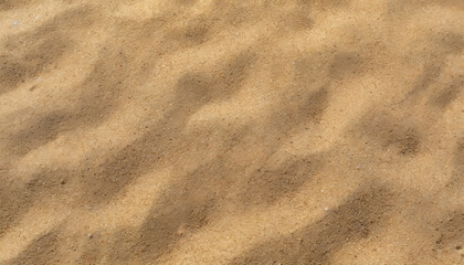 Sand texture. Sandy beach for background. Top view texture