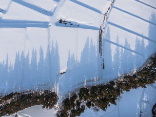 ドローン写真：雪に覆われた田んぼに伸びる木々の影