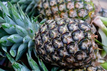 fruit, street, on sale, sale, laos, outdoor, closeup, macro, pineapple, nature, pine, food, market