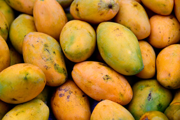View of the mangos on sale in the street market