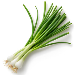 Fresh Spring Onions Isolated on White Background