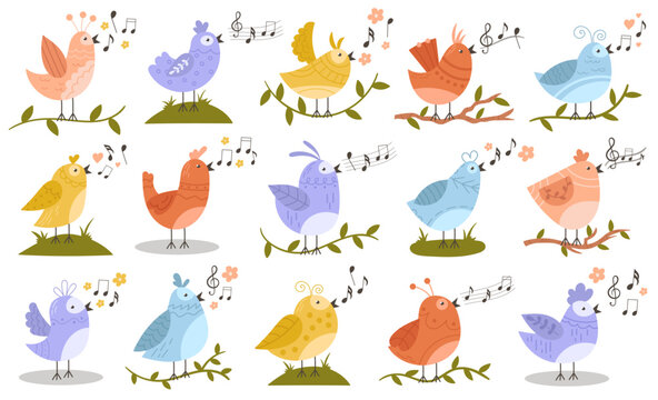 Cute little bird characters singing spring songs on tree plant branch set vector illustration