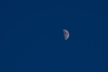 The moon in the first quarter during the day against a blue sky