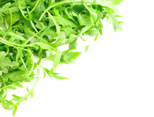 Fresh farm arugula on a white background