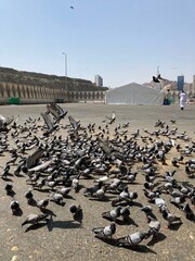 Fototapeta premium view of the city