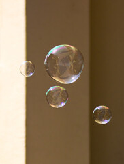 Soap bubbles dancing in the air
