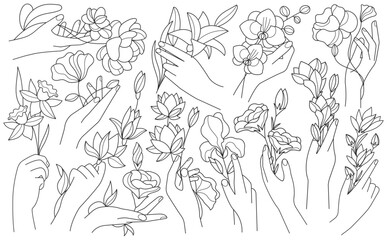 Naklejka premium Human hands holding blooming flowers minimalist outline art drawing style set vector illustration