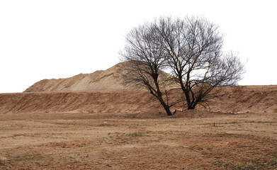 Withered tree and mountains of sand