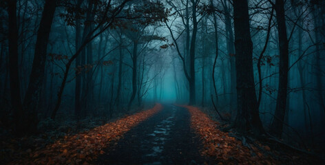 Moonlit Path Through Foggy Forest at Night - obrazy, fototapety, plakaty