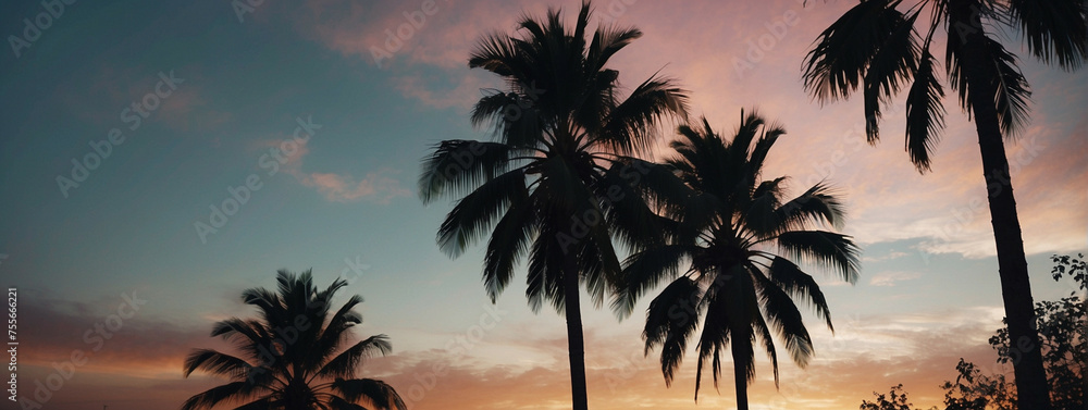 Wall mural Palm Trees Silhouetted Against a Colorful Sunset